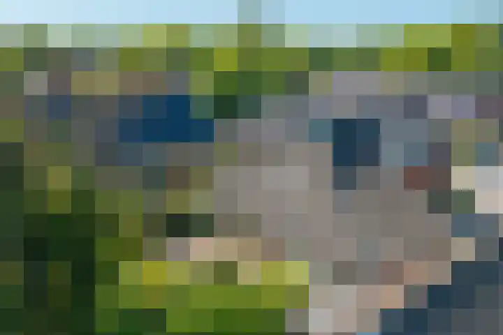 Oude Asserstraat 20 Vries thumbnail 46