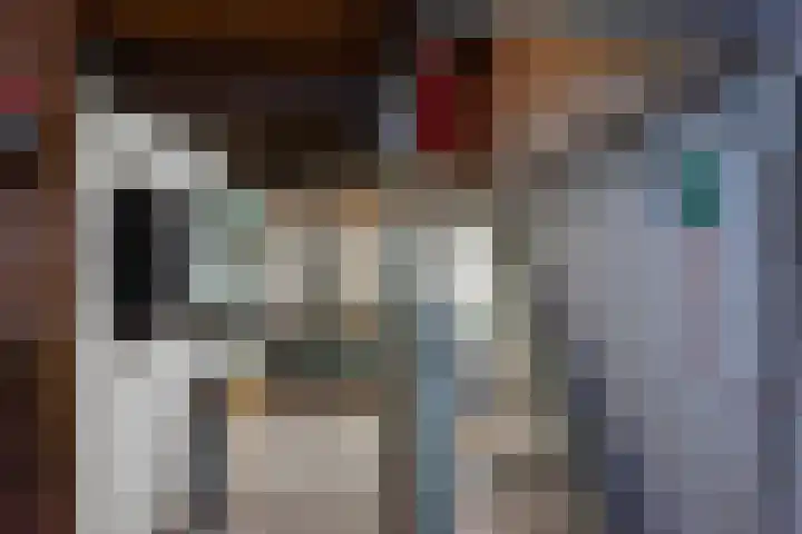 Oude Azaleastraat 18 Nijmegen thumbnail 22