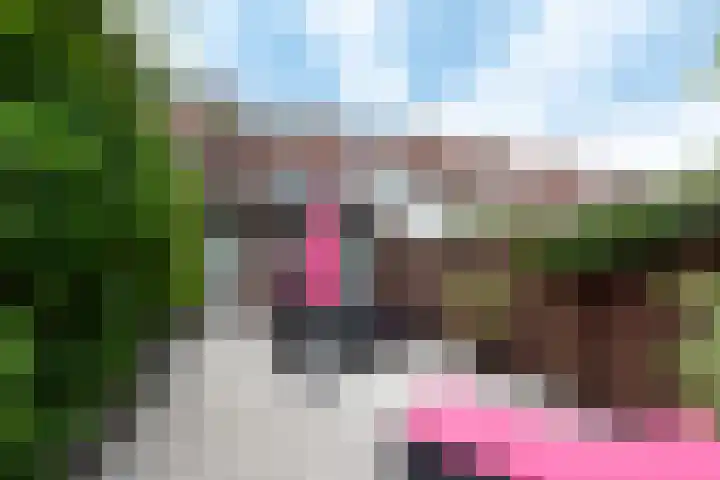 Oude Azaleastraat 18 Nijmegen thumbnail 27