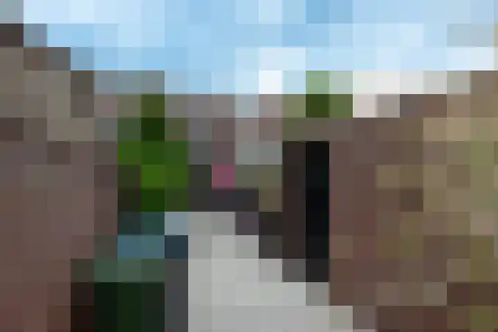 Oude Azaleastraat 18 Nijmegen thumbnail 28