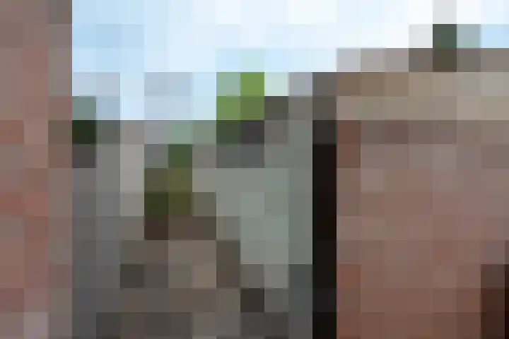 Oude Azaleastraat 18 Nijmegen thumbnail 31