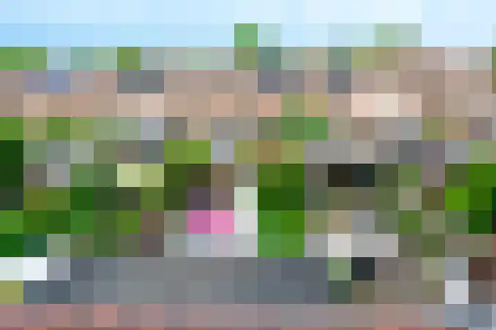 Oude Azaleastraat 18 Nijmegen thumbnail 32