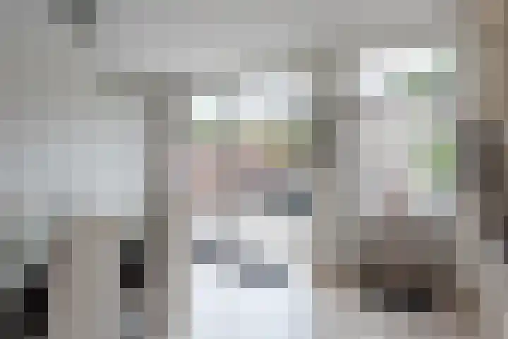 Oude Azaleastraat 18 Nijmegen thumbnail 5