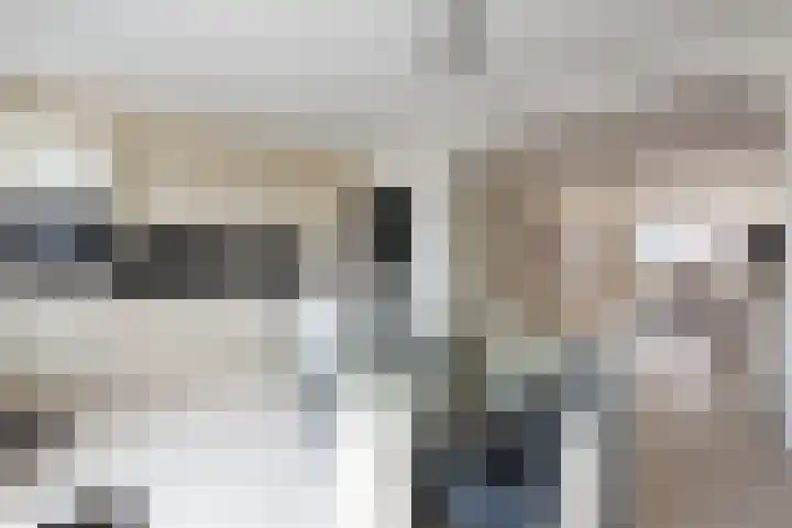 Oude Azaleastraat 18 Nijmegen thumbnail 7