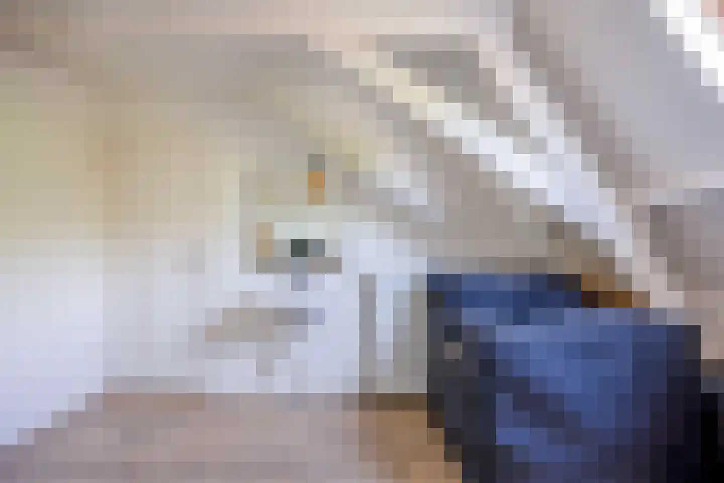 Oude Azaleastraat 7 Nijmegen thumbnail 19