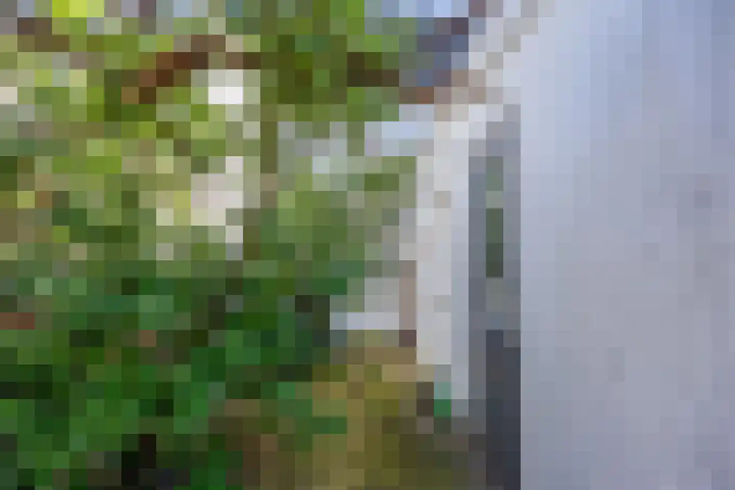 Oude Azaleastraat 7 Nijmegen thumbnail 26