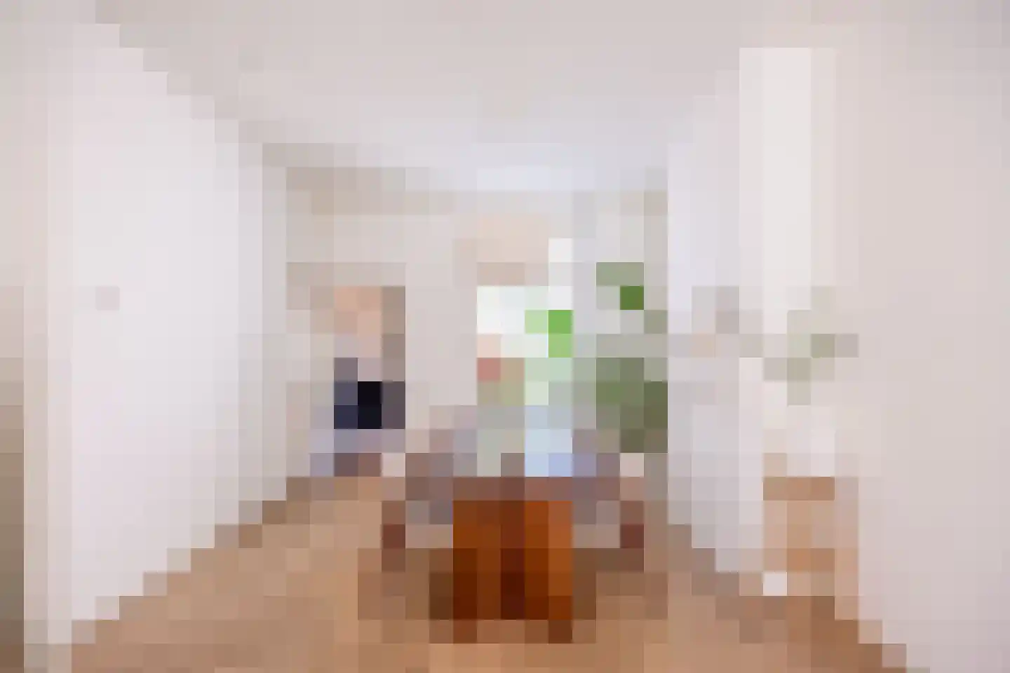 Oude Azaleastraat 7 Nijmegen thumbnail 6