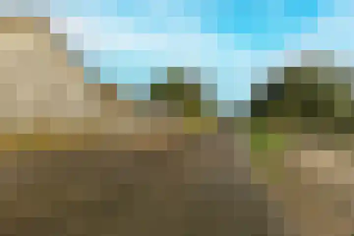Oude Baan 10 b Wernhout thumbnail 29