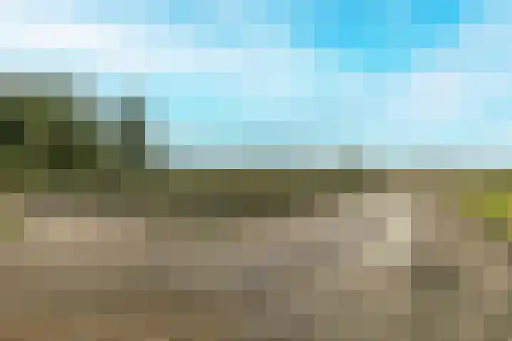 Oude Baan 10 b Wernhout thumbnail 32
