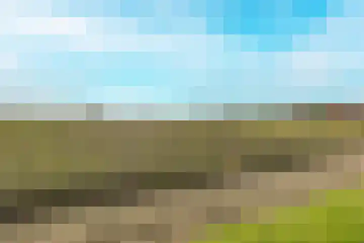 Oude Baan 10 b Wernhout thumbnail 33