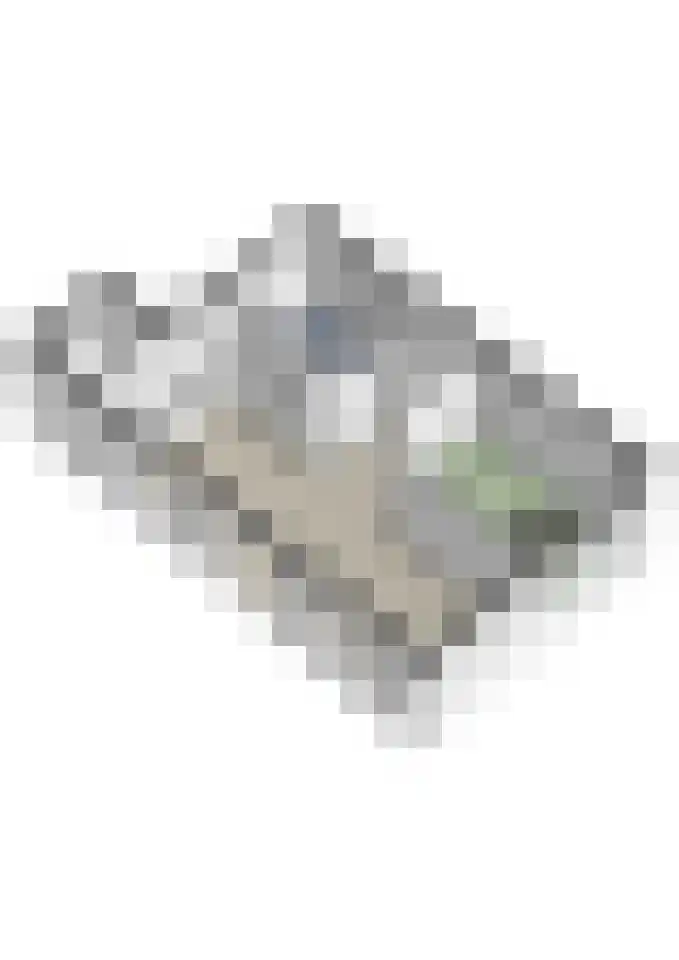 Oude Baan 10 b Wernhout thumbnail 39