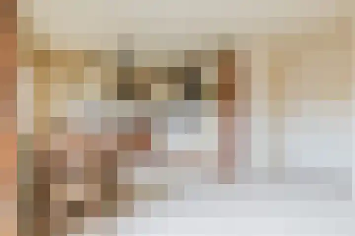 Oude Baan 10 b Wernhout thumbnail 6