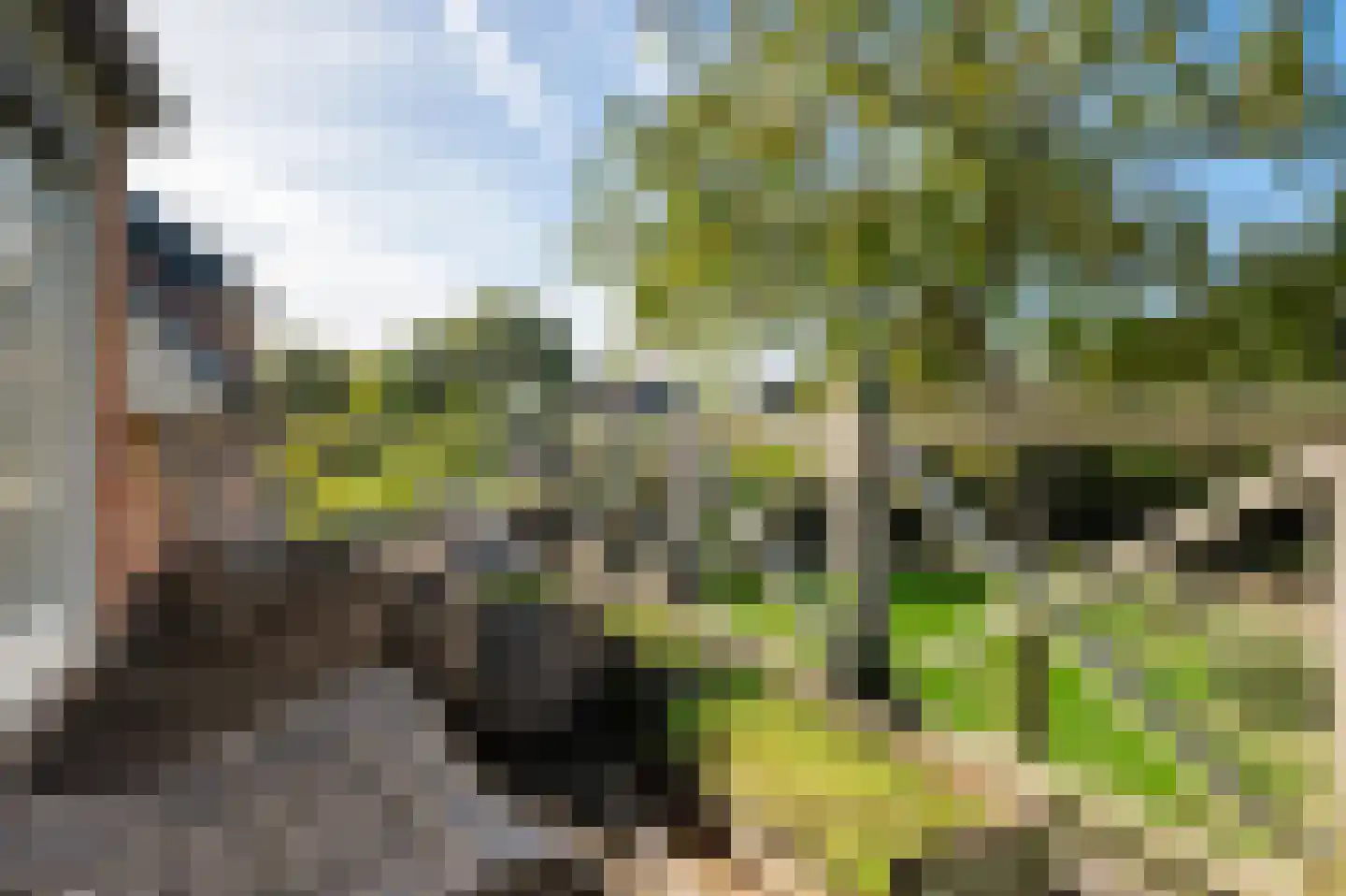 Oude Baan 12 Best thumbnail 25