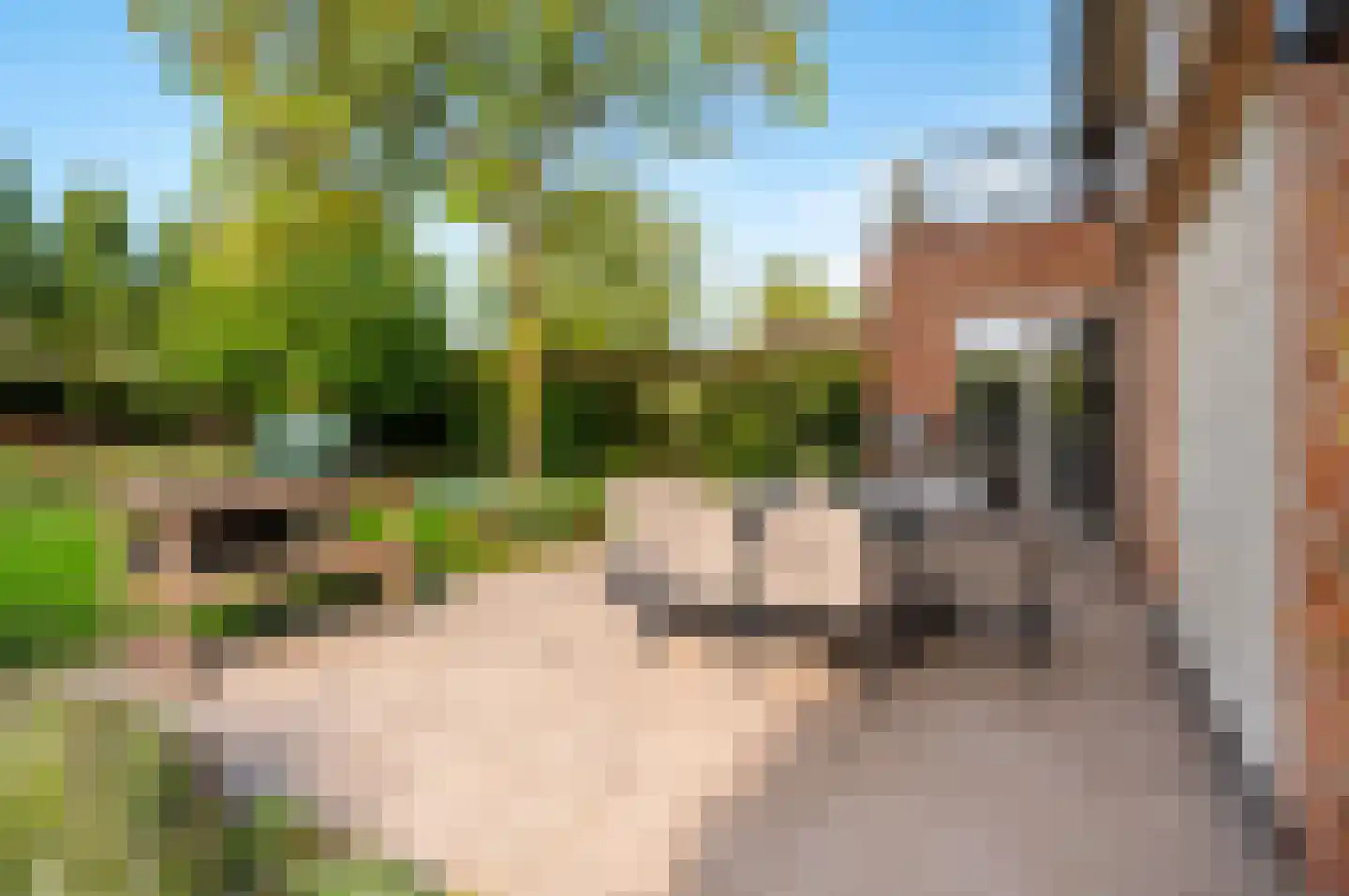 Oude Baan 12 Best thumbnail 28