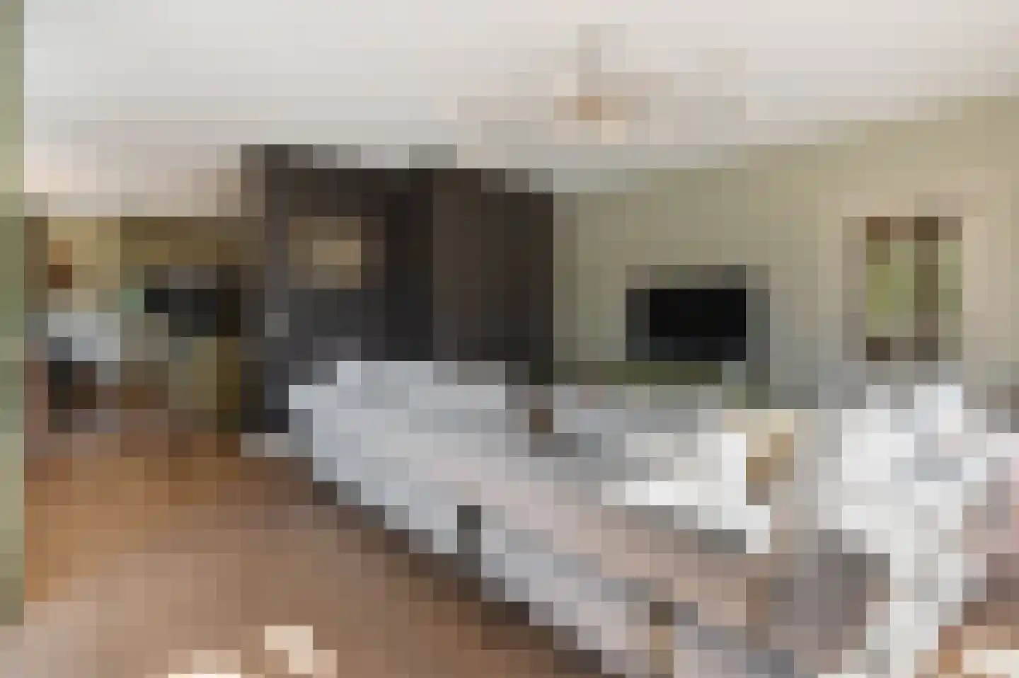 Oude Baan 12 Best thumbnail 9