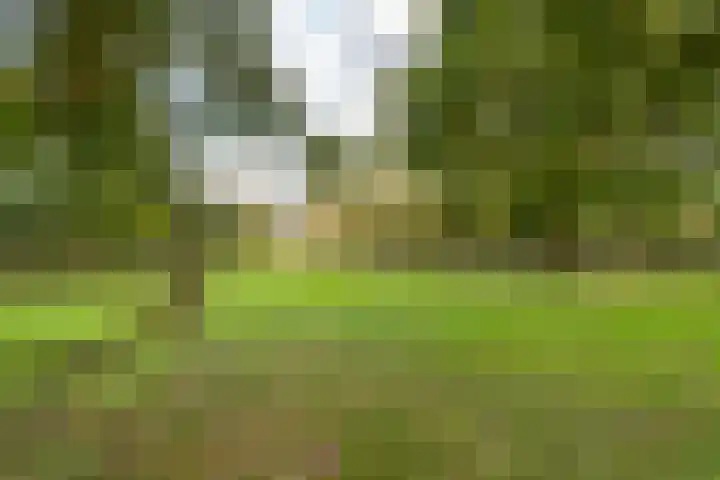 Oude Baan 121 Dongen thumbnail 19
