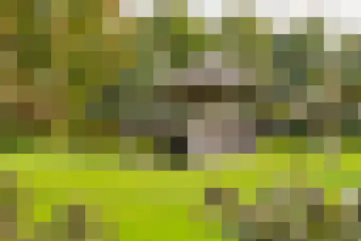 Oude Baan 121 Dongen thumbnail 23