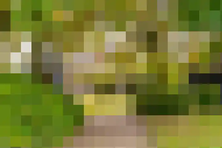 Oude Baan 121 Dongen thumbnail 24