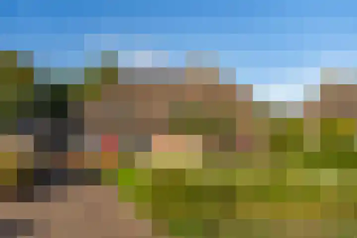 Oude Baan 121 Dongen thumbnail 32