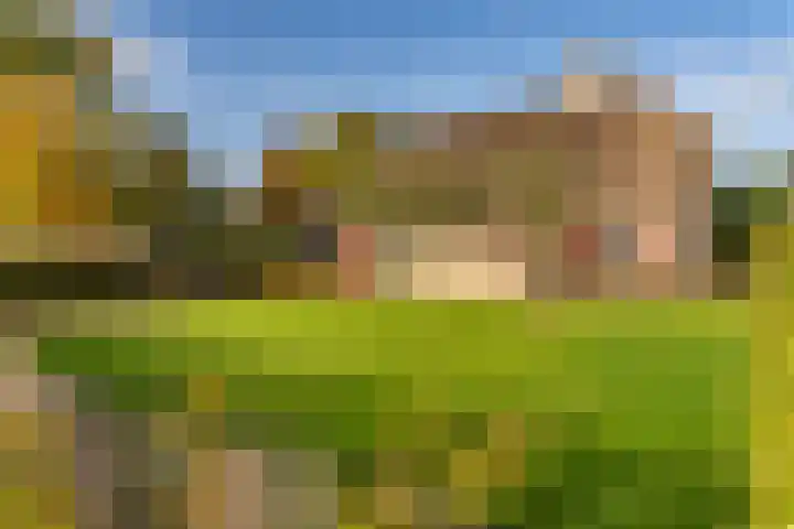 Oude Baan 121 Dongen thumbnail 33