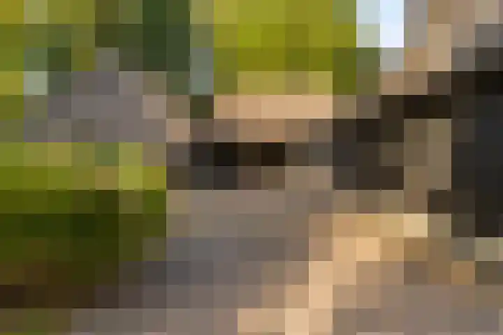Oude Baan 121 Dongen thumbnail 34