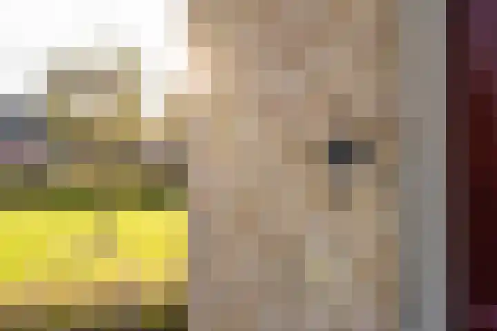 Oude Baan 121 Dongen thumbnail 35