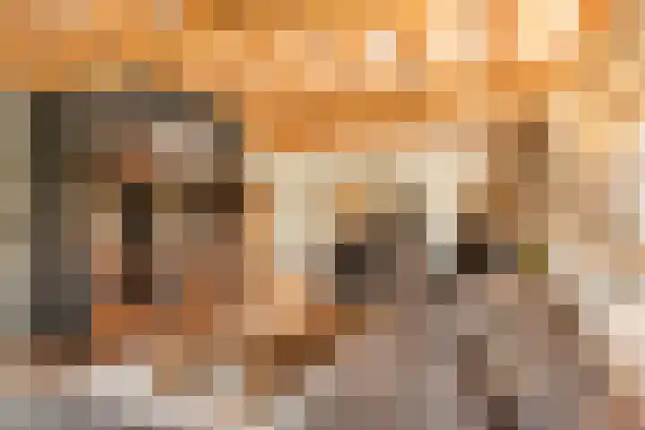 Oude Baan 121 Dongen thumbnail 38