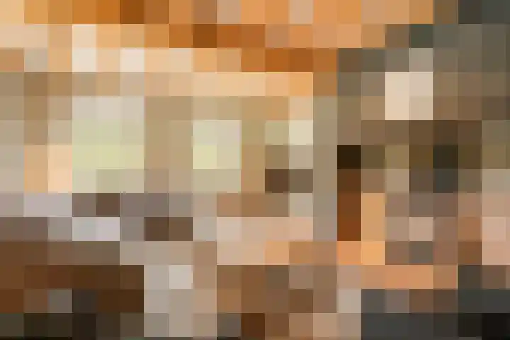 Oude Baan 121 Dongen thumbnail 39