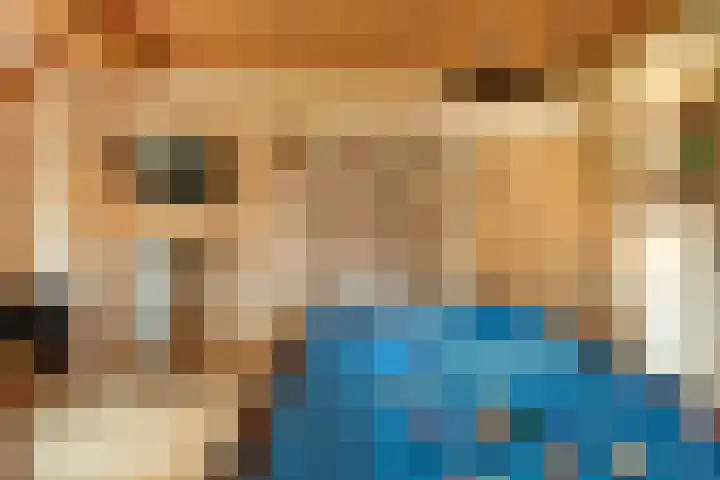 Oude Baan 121 Dongen thumbnail 42
