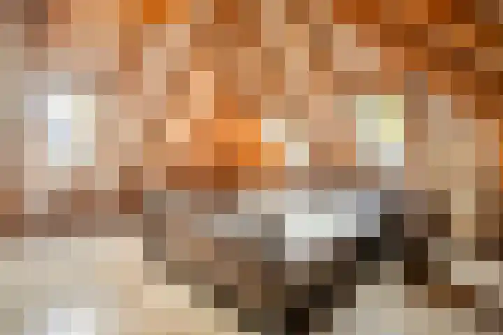 Oude Baan 121 Dongen thumbnail 5