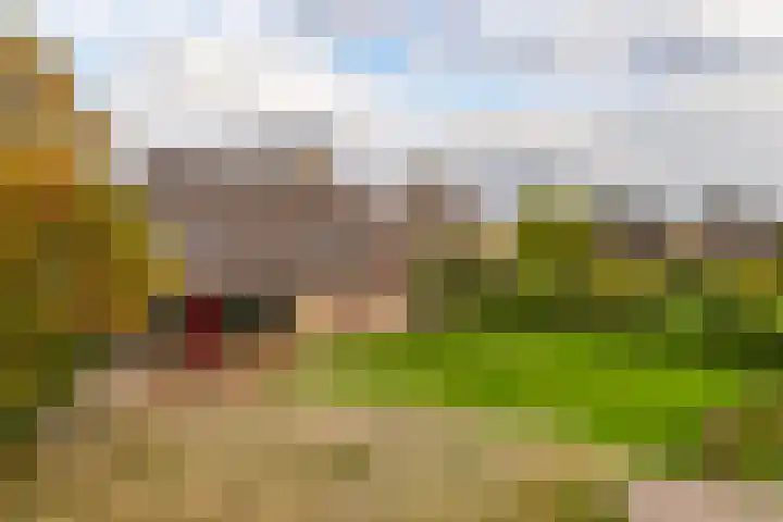 Oude Baan 121 Dongen thumbnail 50