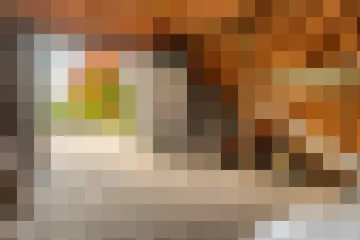 Oude Baan 121 Dongen thumbnail 52