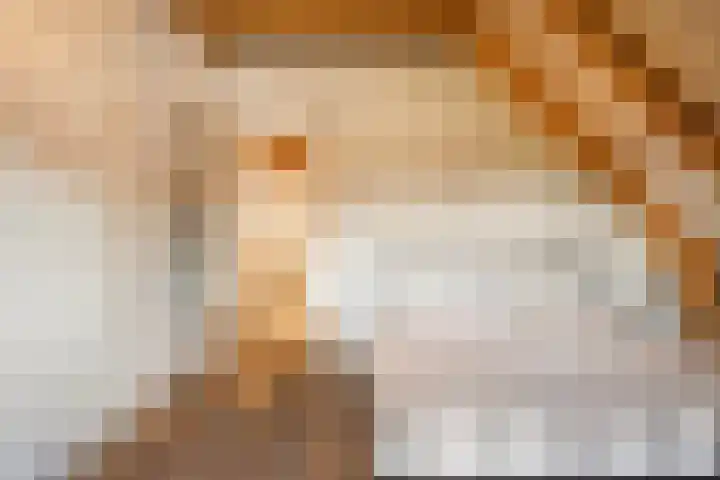 Oude Baan 121 Dongen thumbnail 57