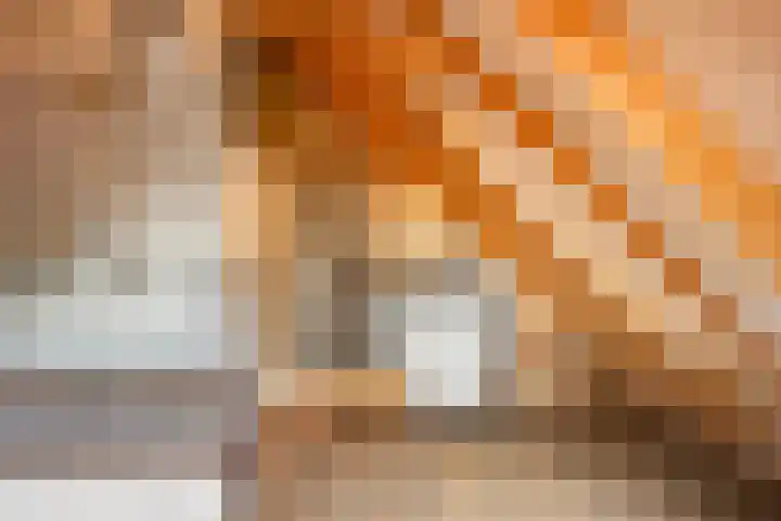 Oude Baan 121 Dongen thumbnail 61