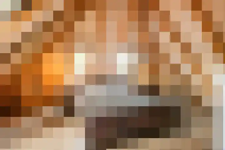 Oude Baan 121 Dongen thumbnail 62