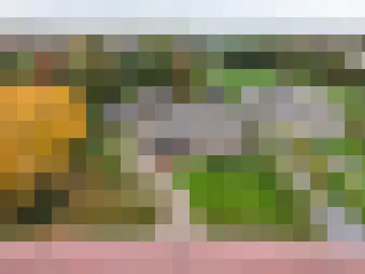 Oude Baan 121 Dongen thumbnail 65