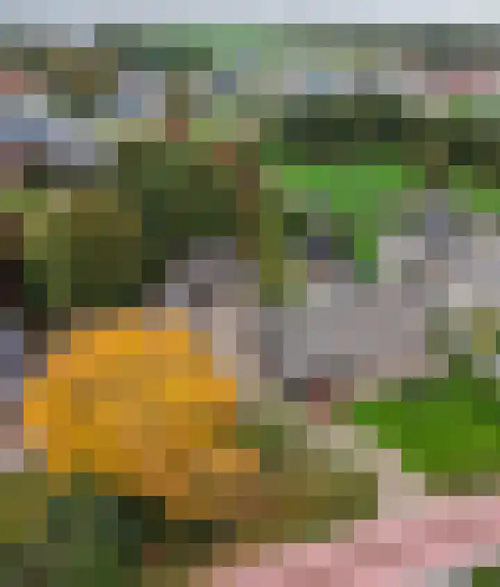 Oude Baan 121 Dongen thumbnail 66