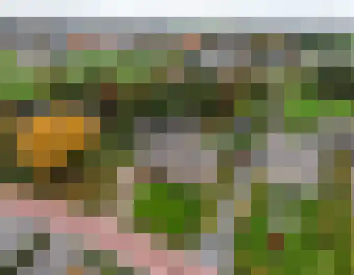 Oude Baan 121 Dongen thumbnail 68
