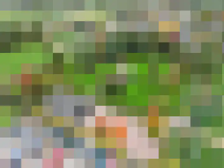 Oude Baan 121 Dongen thumbnail 69