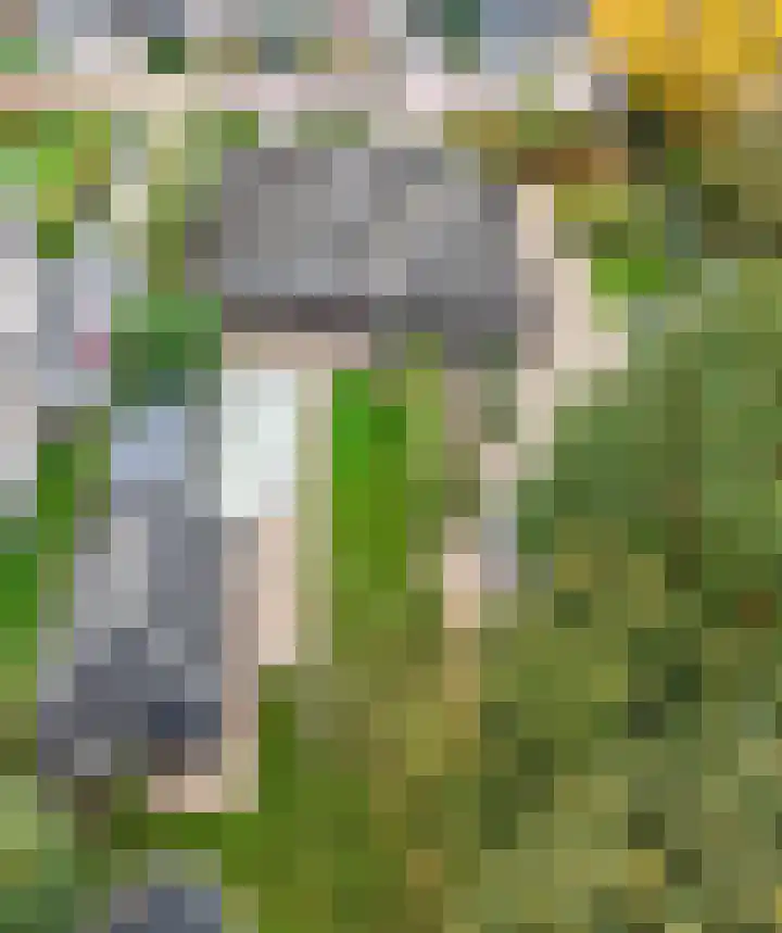 Oude Baan 121 Dongen thumbnail 70