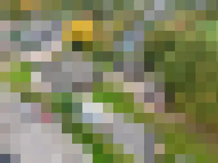 Oude Baan 121 Dongen thumbnail 71