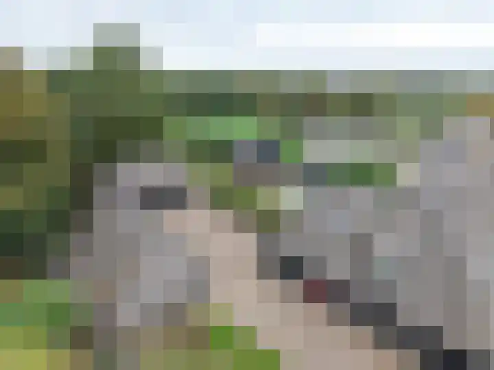 Oude Baan 121 Dongen thumbnail 73