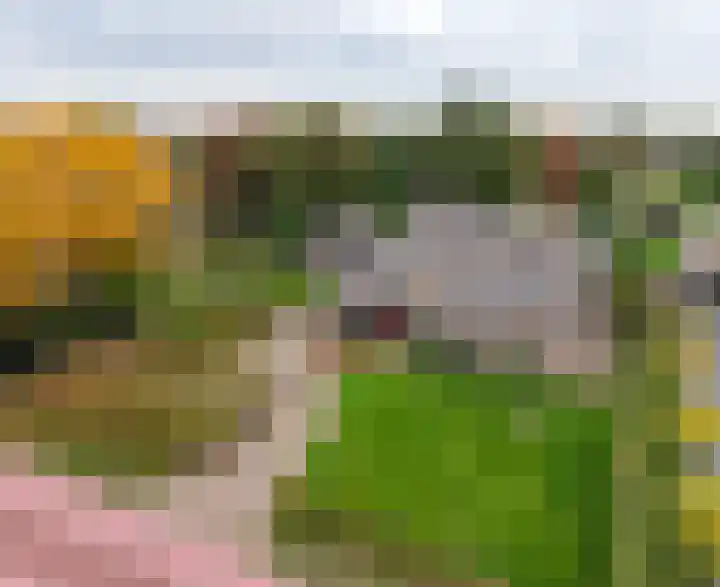 Oude Baan 121 Dongen thumbnail 74