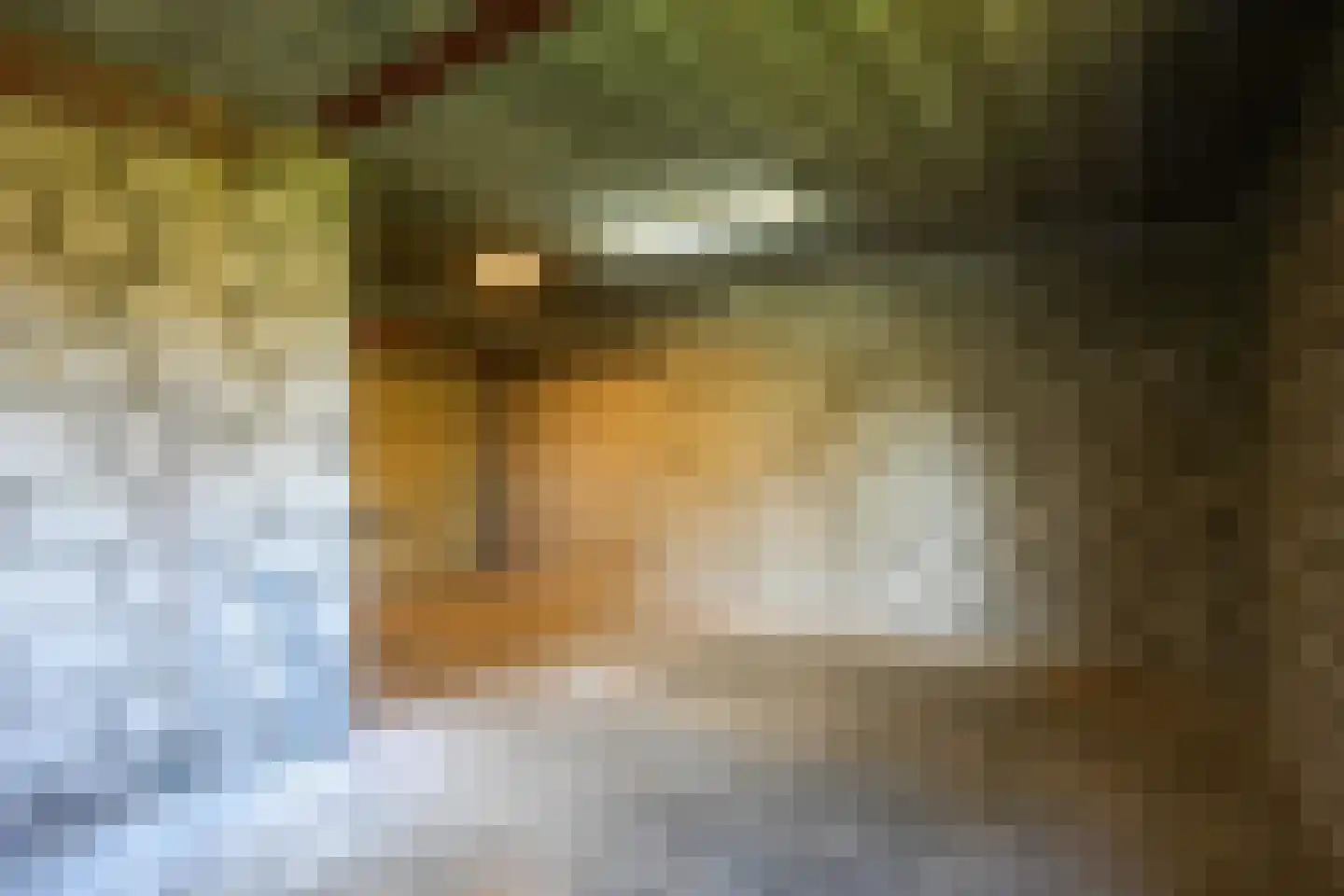 Oude Baan 13 C Wittem thumbnail 16