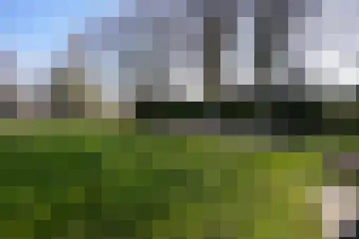 Oude Baan 13 C Wittem thumbnail 31