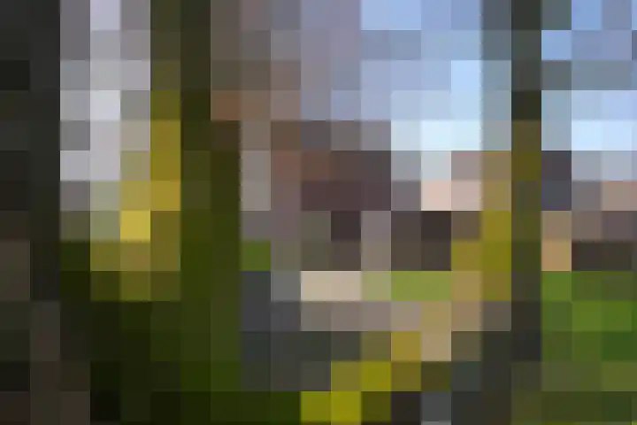Oude Baan 13 C Wittem thumbnail 40
