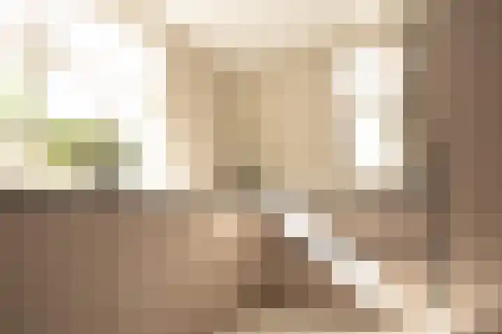 Oude Baan 15 A Hulten thumbnail 13