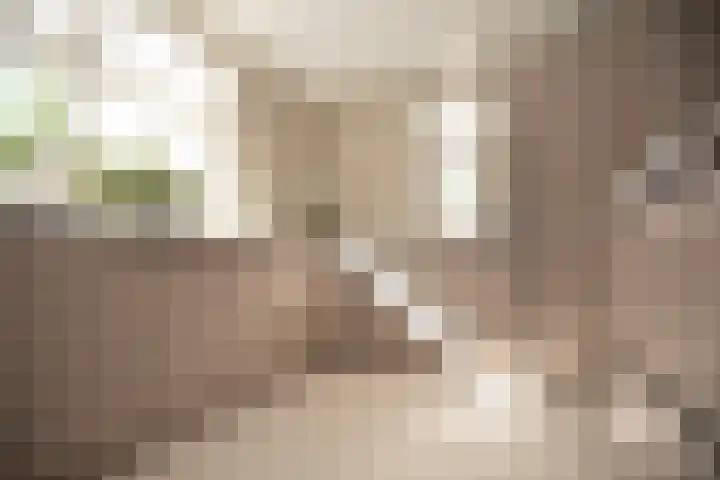Oude Baan 15 A Hulten thumbnail 14