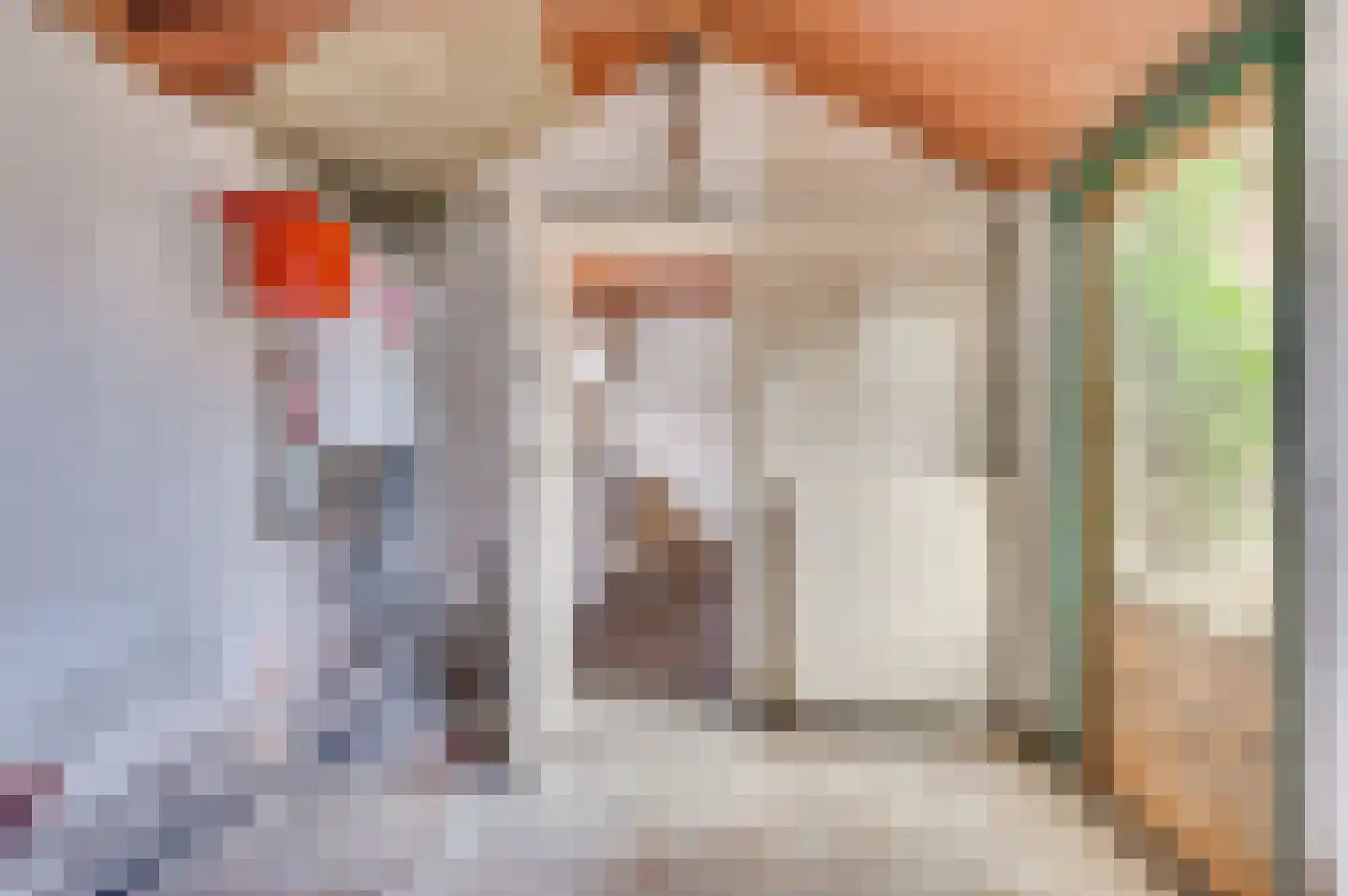 Oude Baan 17 Reuver thumbnail 16