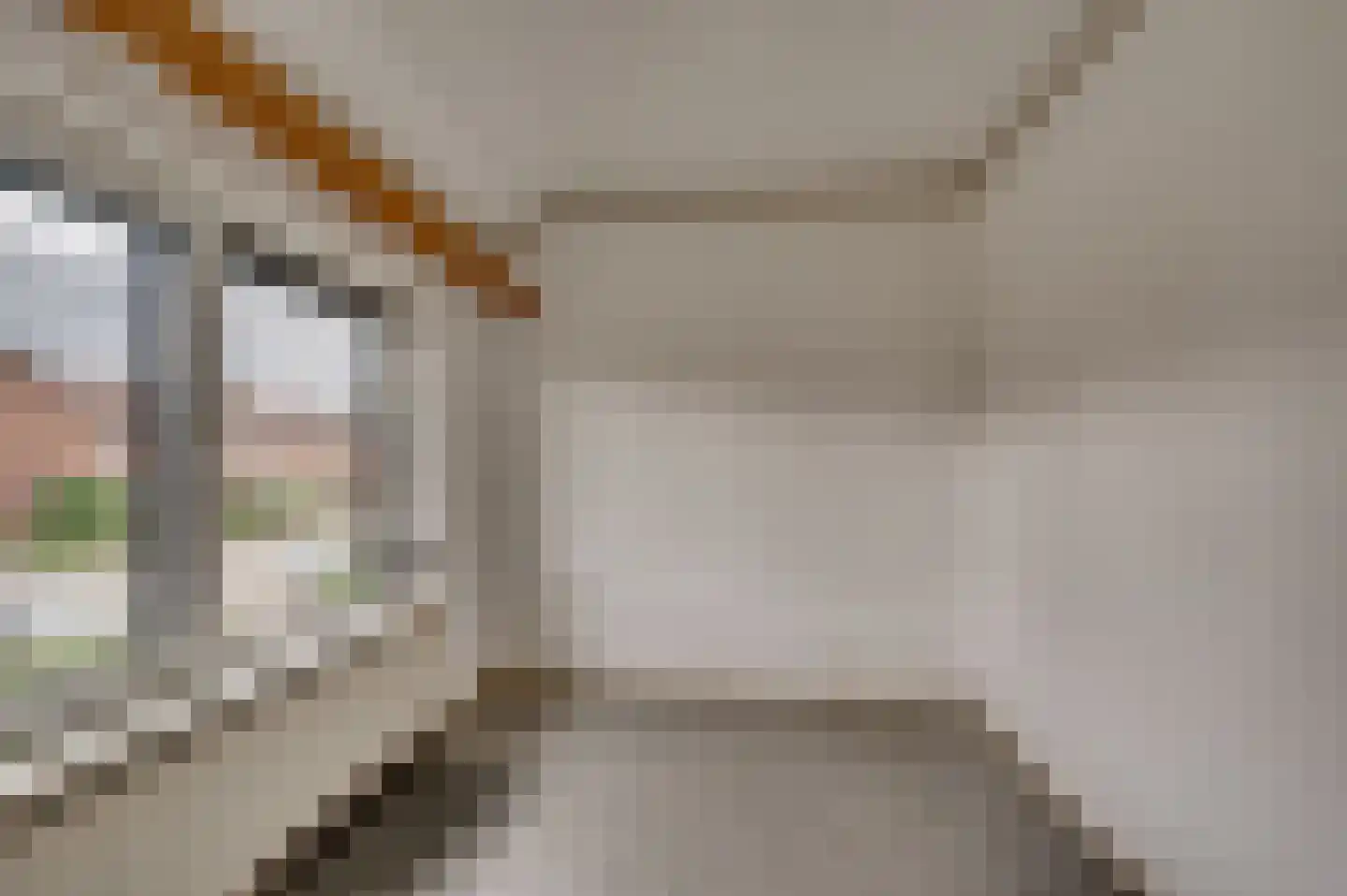 Oude Baan 17 Reuver thumbnail 22